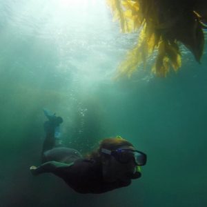 7 Best Spots to View Sea Lions in San Diego • Scuba Diver Girls