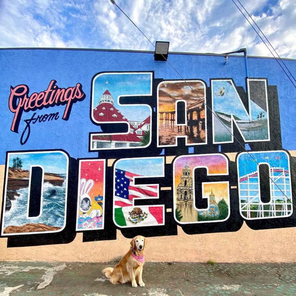 Greetings from San Diego Mural