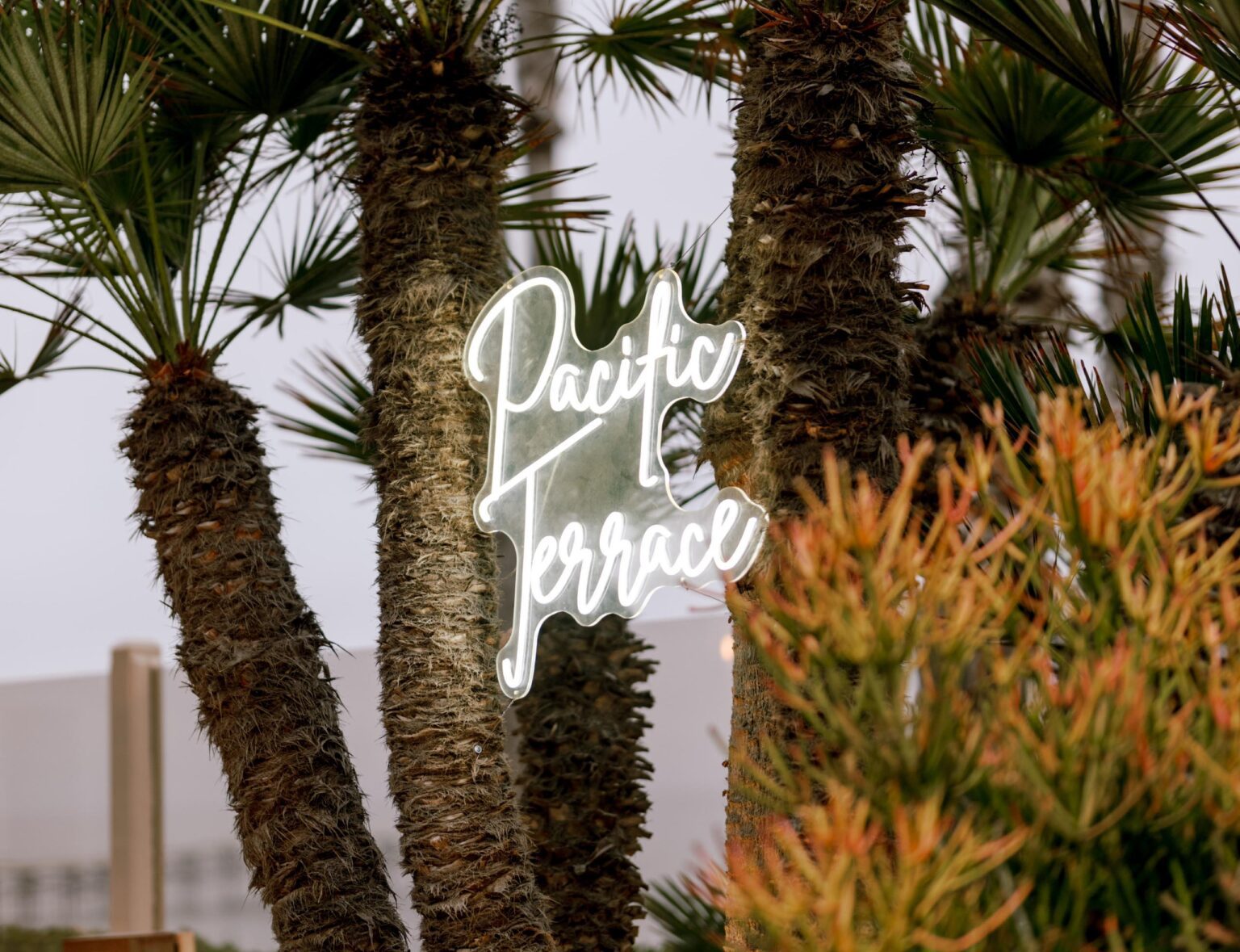 Hotel logo lightup sign