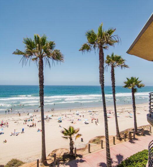 Your Early Summer Stay at Pacific Terrace in San Diego