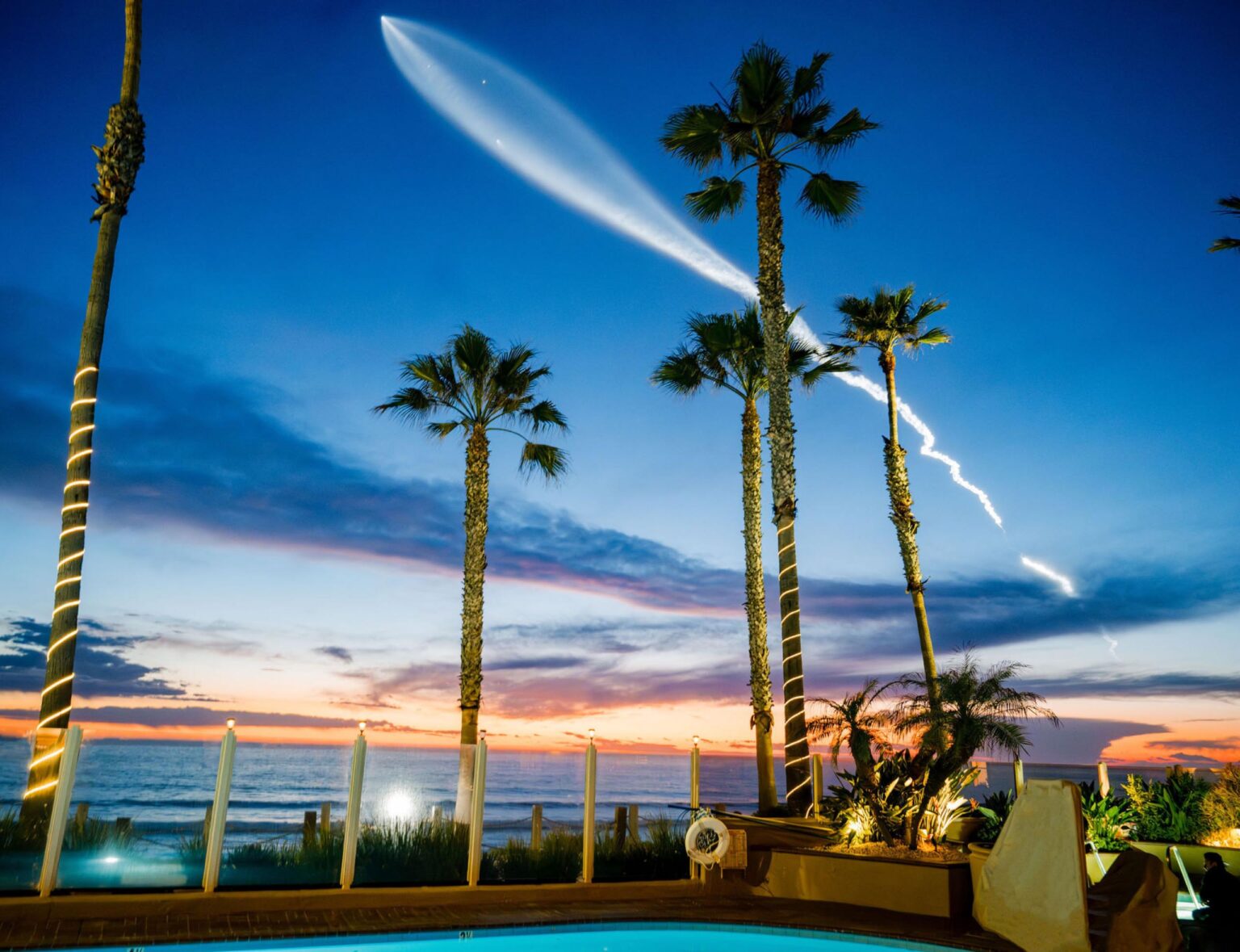Tall palm trees with sunset view