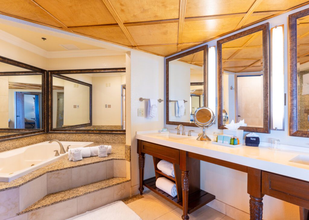Master Suite Bathroom