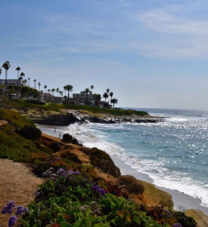 la jolla by jeffrey eisen