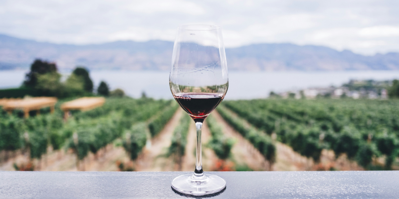 Wine glass in front of a winery