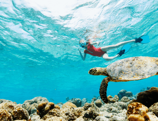 Dive Into San Diego: Snorkeling & Scuba Hot Spots for Summer 2025