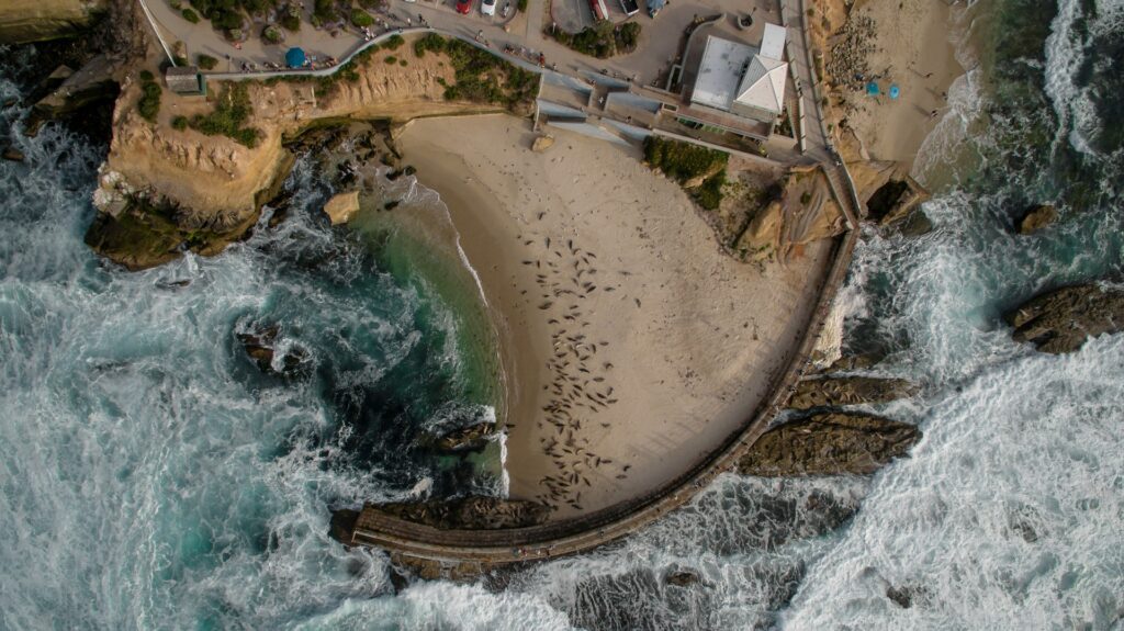 la jolla seals aerial