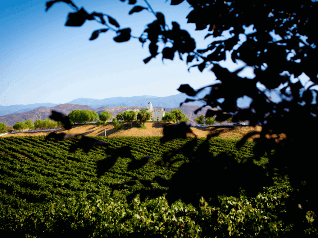vineyards in temecula