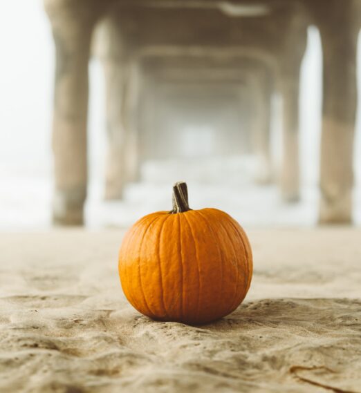 Spooky Season by the Sea: San Diego’s Best Halloween Events