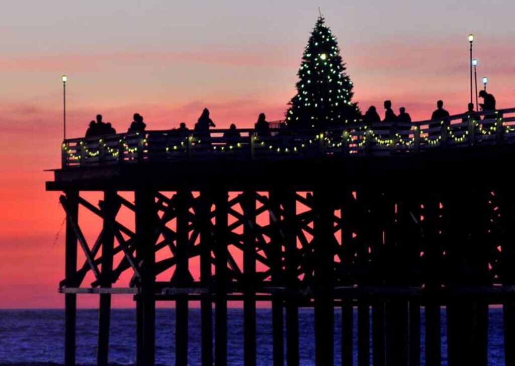 christmas tree on pier