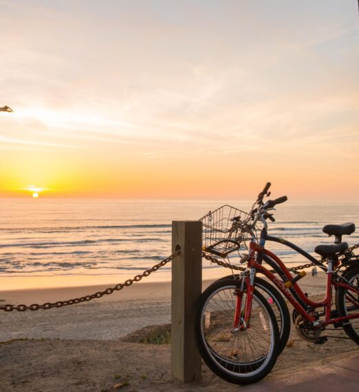 San Diego Hotels on the Beach: Why Pacific Terrace Hotel Is the Ultimate Summer Escape 