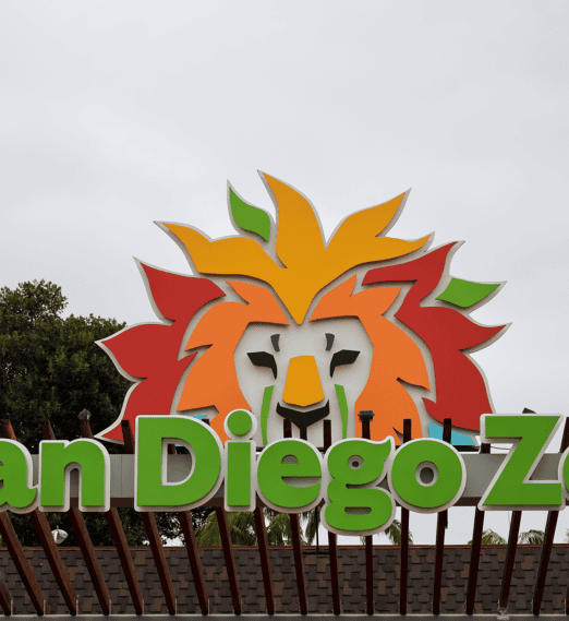 Experience The Best of Summer in Pacific Beach  