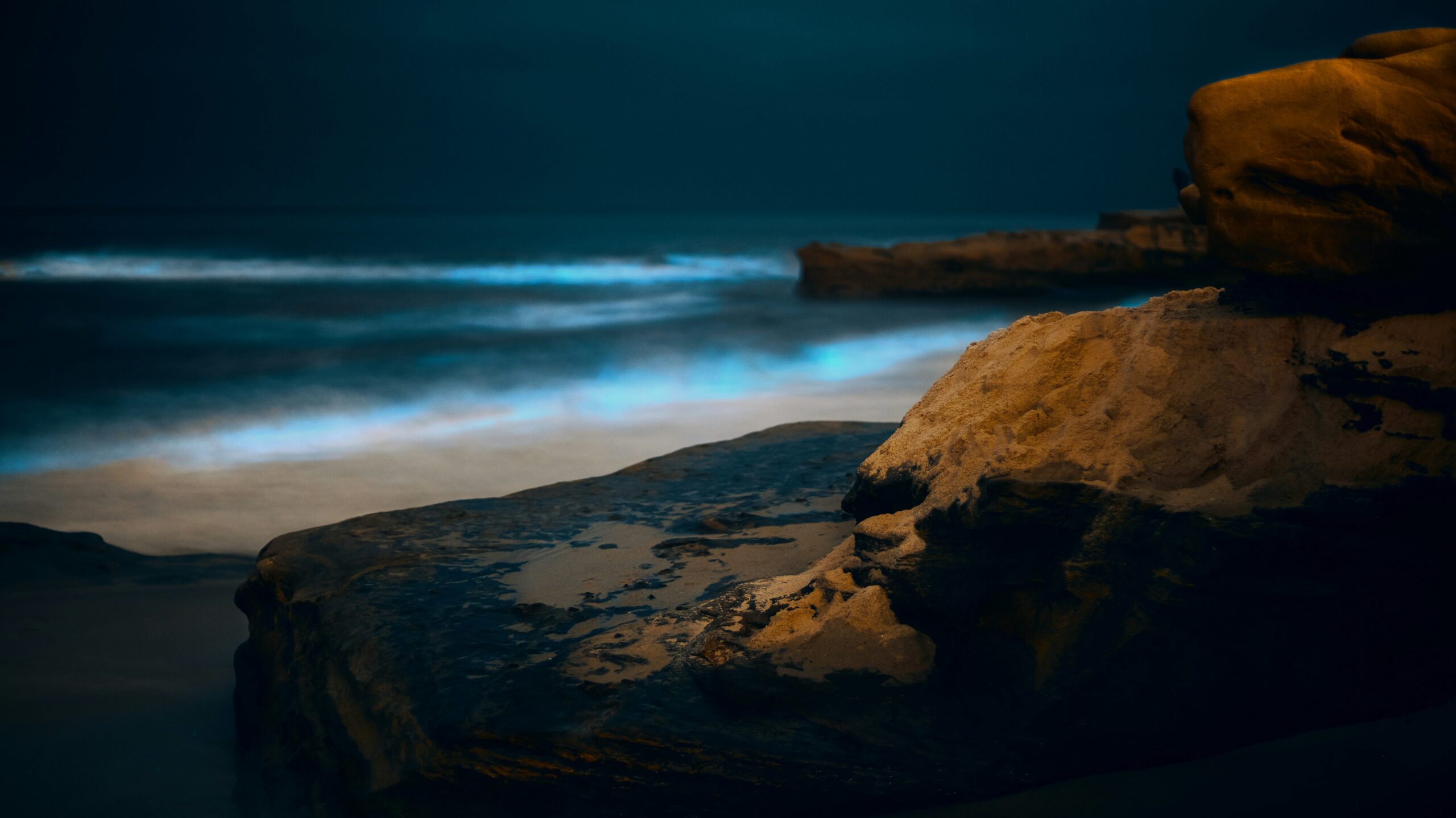 Bioluminescence San Diego