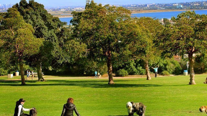 Kate Sessions Memorial Park